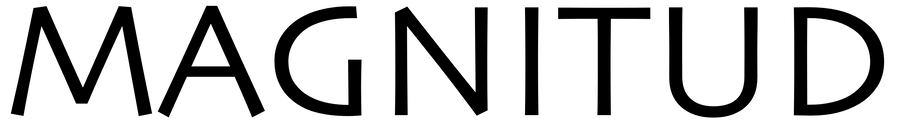 Magnitud